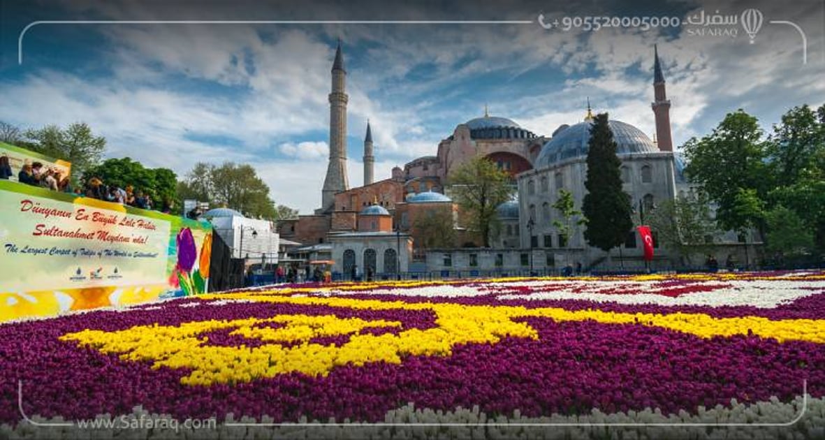 Enjoy The Colorful Tulip Festival In Istanbul | Safaraq Tourzim