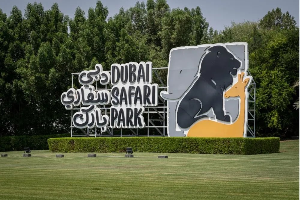 Discover the Wonders of Dubai Safari Park: A Premier Wildlife Experience