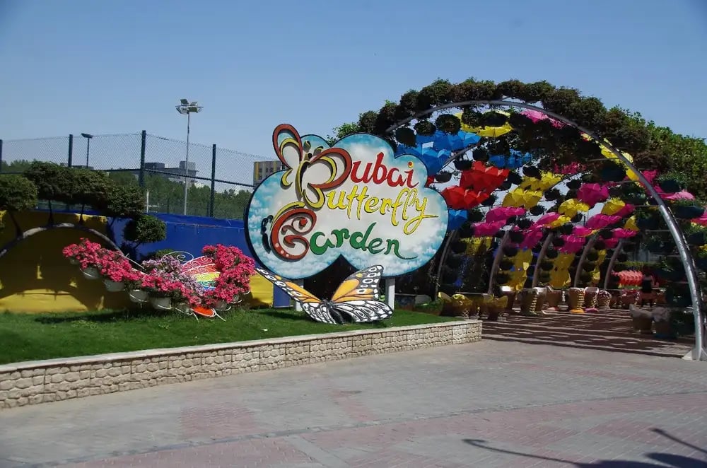 Comprehensive Tourism Guide to the Butterfly Garden in Dubai