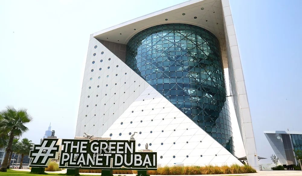 Discover the Wonders of Green Planet Dubai: A Tropical Rainforest Experience