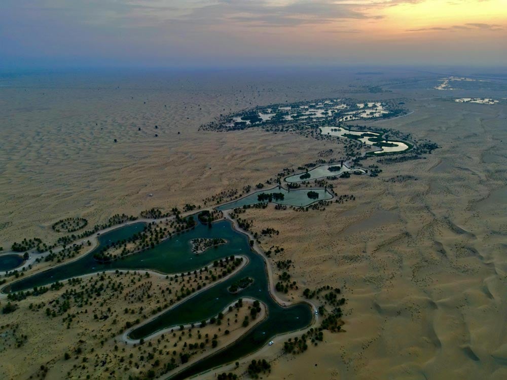 بحيرة القدرة: واحة الطبيعة الساحرة في قلب دبي