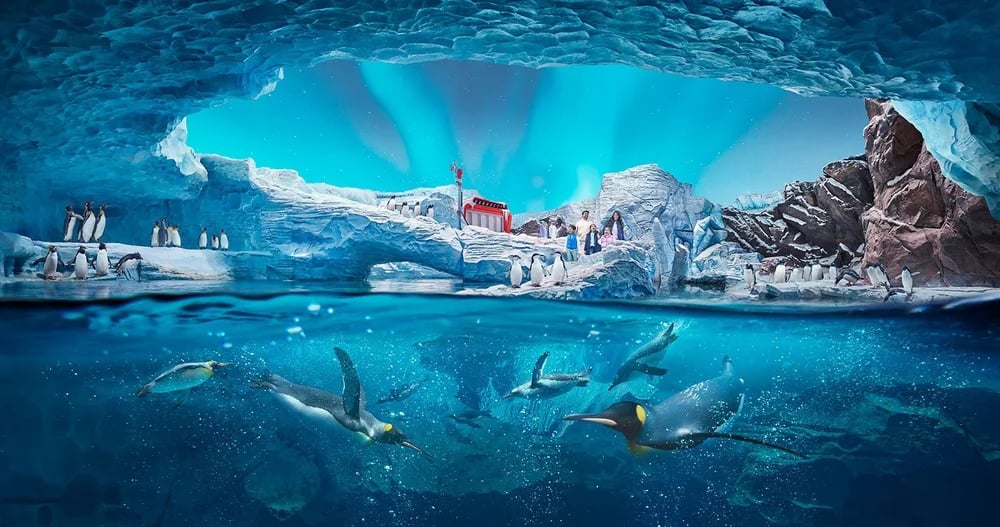 SeaWorld Yas Island in Abu Dhabi