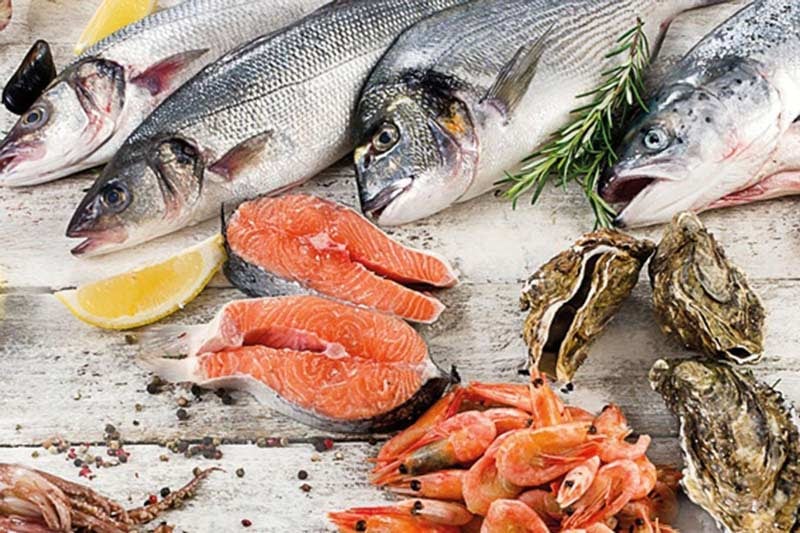 Importing Fish from Turkey: Steps and Conditions | Tebadul